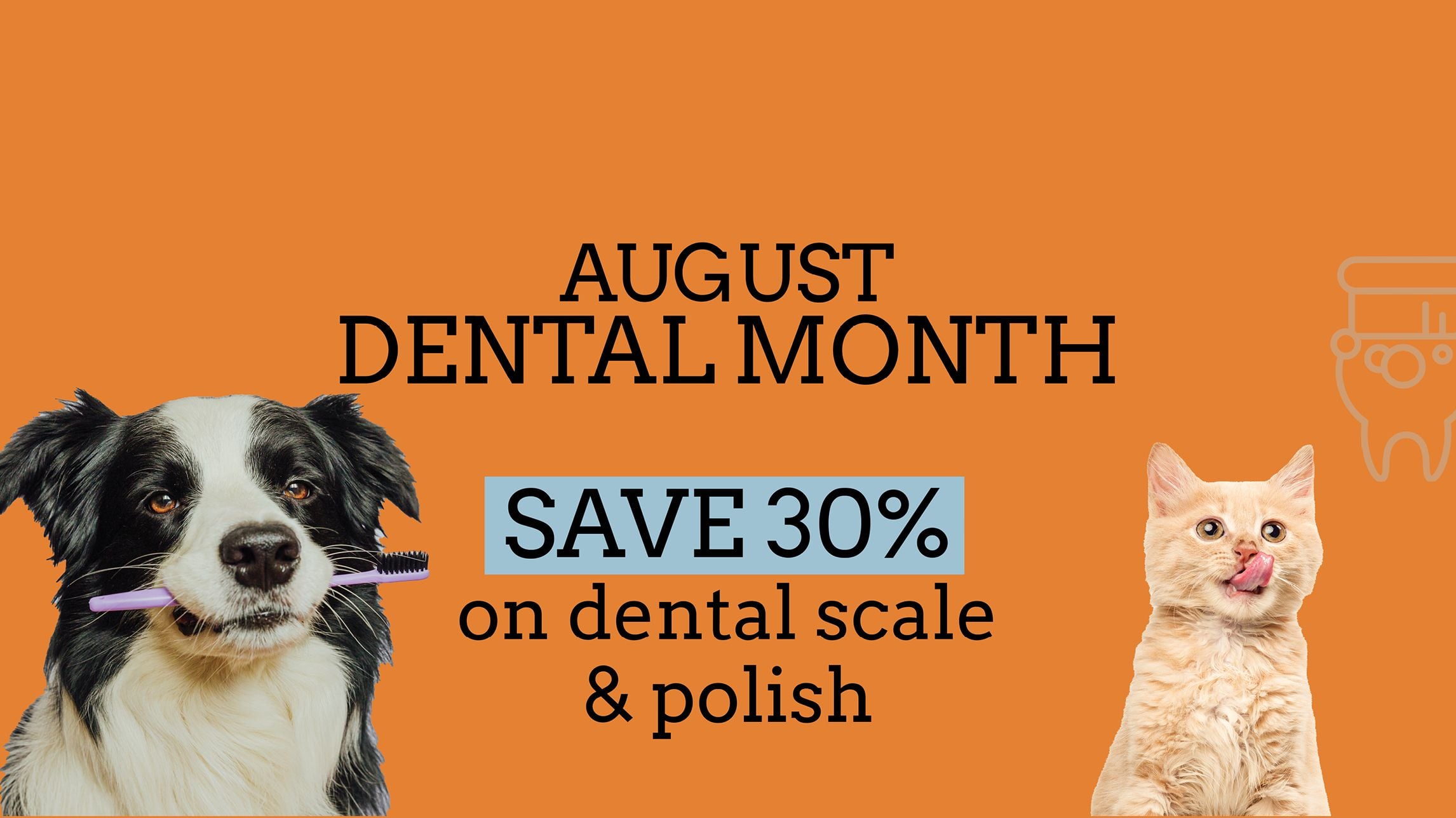 Dental Month at Highfields Vet Dental Month at Highfields Vet